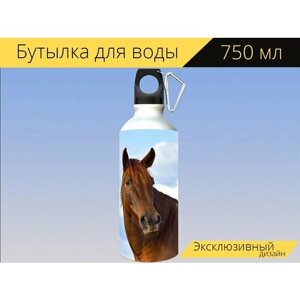 Бутылка фляга для воды "Лошадь, дикий, дикие лошади" 750 мл. с карабином и принтом