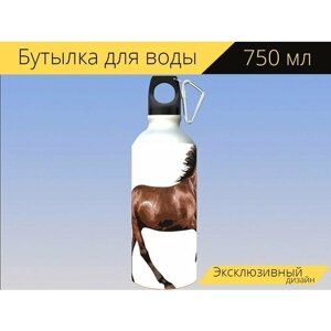 Бутылка фляга для воды "Лошадь, гонки лошади, животное" 750 мл. с карабином и принтом