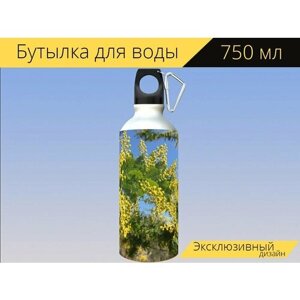 Бутылка фляга для воды "Мимоза акация, акация, желтые цветы" 750 мл. с карабином и принтом