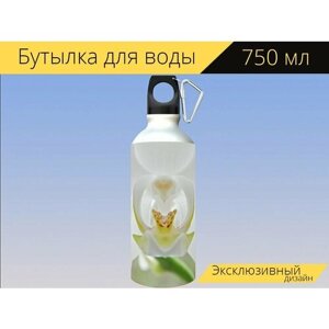 Бутылка фляга для воды "Орхидея, цвести, белый" 750 мл. с карабином и принтом