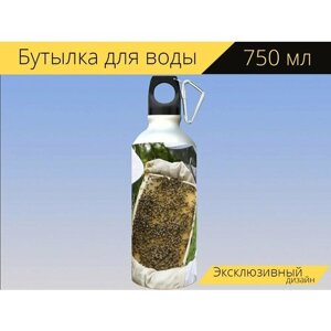 Бутылка фляга для воды "Пчеловод, пчелы, улей" 750 мл. с карабином и принтом