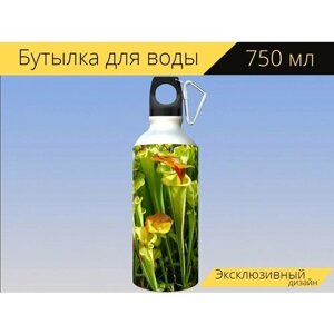 Бутылка фляга для воды "Плотоядные растения, насекомоядные растения, цветочный" 750 мл. с карабином и принтом