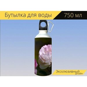 Бутылка фляга для воды "Роза, розовый, цветок" 750 мл. с карабином и принтом