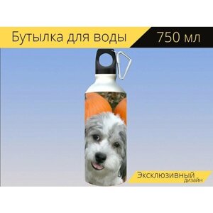 Бутылка фляга для воды "Щенок, собака, собачка" 750 мл. с карабином и принтом