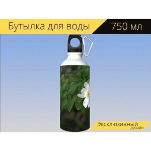 Бутылка фляга для воды "Шиповник, цветок, природа" 750 мл. с карабином и принтом