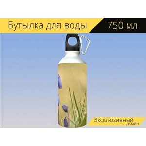 Бутылка фляга для воды "Сквилл, цветы, завод" 750 мл. с карабином и принтом