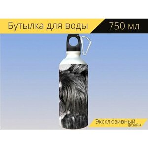 Бутылка фляга для воды "Собака, борода, шнауцер" 750 мл. с карабином и принтом