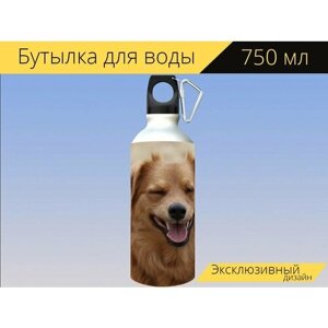 Бутылка фляга для воды "Собака, домашний питомец, животное" 750 мл. с карабином и принтом