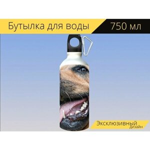 Бутылка фляга для воды "Собака, кинологов, животные" 750 мл. с карабином и принтом