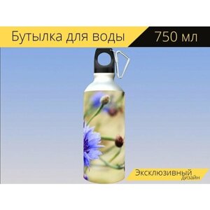 Бутылка фляга для воды "Васильковый, цветок, синий" 750 мл. с карабином и принтом