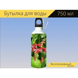Бутылка фляга для воды "Висячие цветки, красный цветок, тропический цветок" 750 мл. с карабином и принтом
