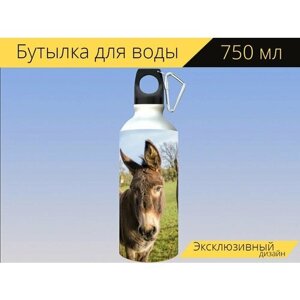 Бутылка фляга для воды "Животные, осел, природа" 750 мл. с карабином и принтом
