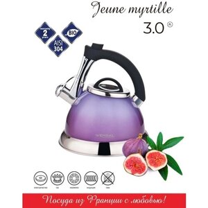 Чайник Vensal Jeune Myrtille со свистком 3 л VS3004