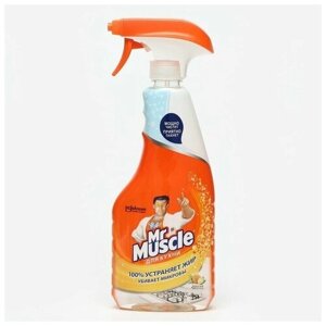 Чистящее и моющее средство для кухни Mr Muscle "Энергия цитруса", 500 мл. В упаковке шт: 1