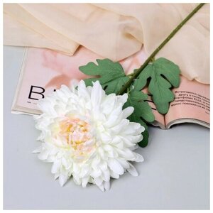 Цветы искусственные "Хризантема садовая галант" 14х57 см, белый