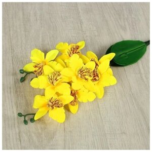 Цветы искусственные "Орхидея Фаленопсис мультифлора" 6х37 см, жёлтый 2337922