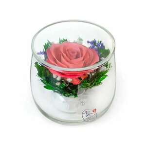 Цветы в стекле: Композиция розовой розы высота 6см, невянущие цветы, живые цветы в вакууме, в колбе, подарок женщине
