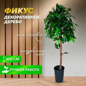 Дерево искусственное растение комнатное для декора в горшке фикус 100 см