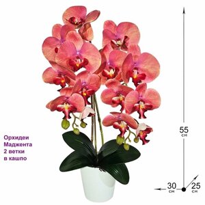 Искусственные цветы Орхидеи 2 ветки Маджента 55см в кашпо