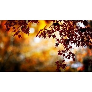 Картина на холсте 60x110 Альянс Лес "Природа блики ветка листва осень" на подрамнике / интерьер/ декор