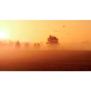 Картина на холсте 60x110 Альянс Лес "Туман поле пейзаж утро" на подрамнике / интерьер/ декор