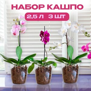 Кашпо для орхидей набор 3 шт для орхидей 2,5 л
