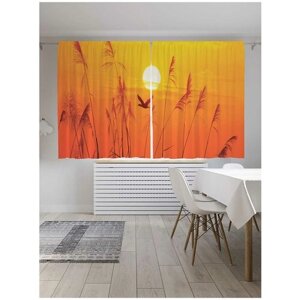 Классические шторы JoyArty "Летим в закат", серия Oxford DeLux, 2 полотна 145x180 см