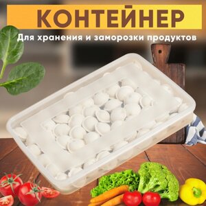 Контейнер BRINHILL для заморозки пельменей с крышкой; пластиковый органайзер для хранения и заморозки продуктов