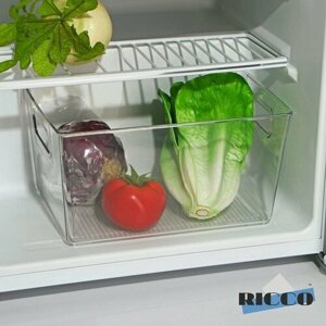 Контейнер для холодильника RICCO, 2920,515,5 см (комплект из 3 шт)