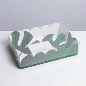 Коробка для кондитерских изделий с PVC крышкой Эко , 20 x 30 x 8 см (5 шт)