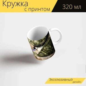 Кружка с рисунком, принтом "Джей, птица, певчая птица" 320 мл.