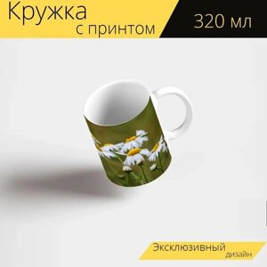 Кружка с рисунком, принтом "Ромашка, цветы ромашки, лекарственное растение" 320 мл.