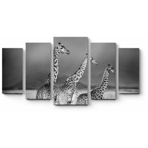 Модульная картина Три жирафа160x88