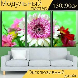 Модульный постер "Цветок, хризантема, фиолетовый" 180 x 90 см. для интерьера