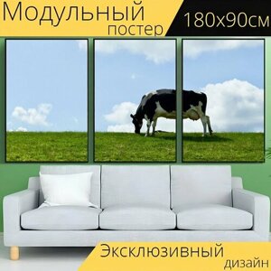 Модульный постер "Корова, коровы, фрисландия" 180 x 90 см. для интерьера