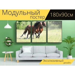 Модульный постер "Лошади, галопом, бегущие лошади" 180 x 90 см. для интерьера