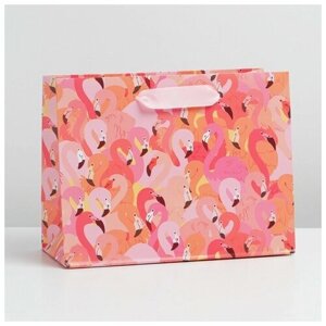 Пакет ламинированный горизонтальный «Фламинго», MS 18 23 10 см
