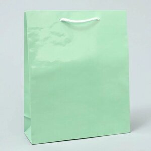 Пакет подарочный ламинированный, упаковка, «Зелёный», ML 21 х 25 х 8 см