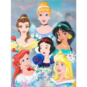 Плакат, постер на холсте Disney Princess/Принцессы Дисней/комиксы/мультфильмы. Размер 42 х 60 см