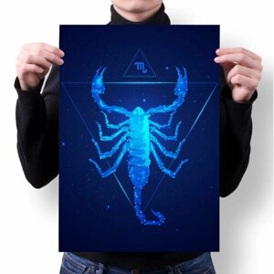 Плакат со знаком зодиака Скорпион №2, А3