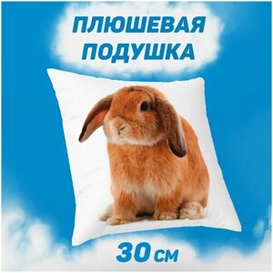 Подушка плюшевая декоративная 30х30 Грустный кролик