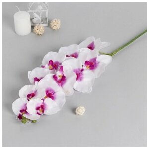 Poetry in flowers Цветы искусственные "Орхидея Галатея" 95 см, бело-фиолетовый