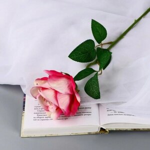 Poetry in flowers Цветы искусственные "Роза чайная экстра" d-7 см 44 см, бело-малиновый