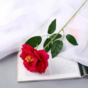 Poetry in flowers Цветы искусственные "Роза Претти" d-10 см 55 см, малиновый