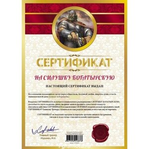 Сертификат подарочный "На силушку богатырскую", формат А4