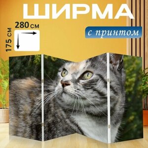 Ширма "Кот, портрет кошки, морда кошки" раскладная перегородка для зонирования с принтом на холсте