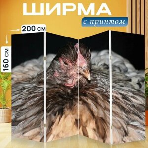 Ширма "Курица, домашняя птица, животное" раскладная перегородка для зонирования с принтом на холсте