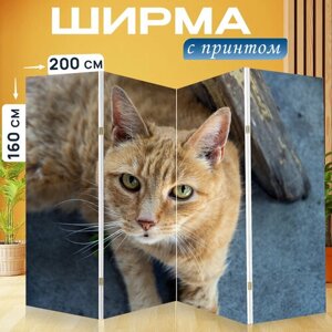 Ширма перегородка с принтом "Кошка, кошачий, домашний питомец" на холсте - 200x160 см. для зонирования, раскладная