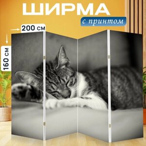 Ширма перегородка с принтом "Кошка, спать, котенок" на холсте - 200x160 см. для зонирования, раскладная