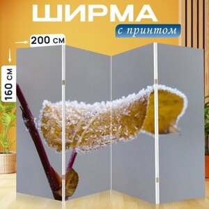 Ширма перегородка с принтом "Матовое, лист, филиал" на холсте - 200x160 см. для зонирования, раскладная